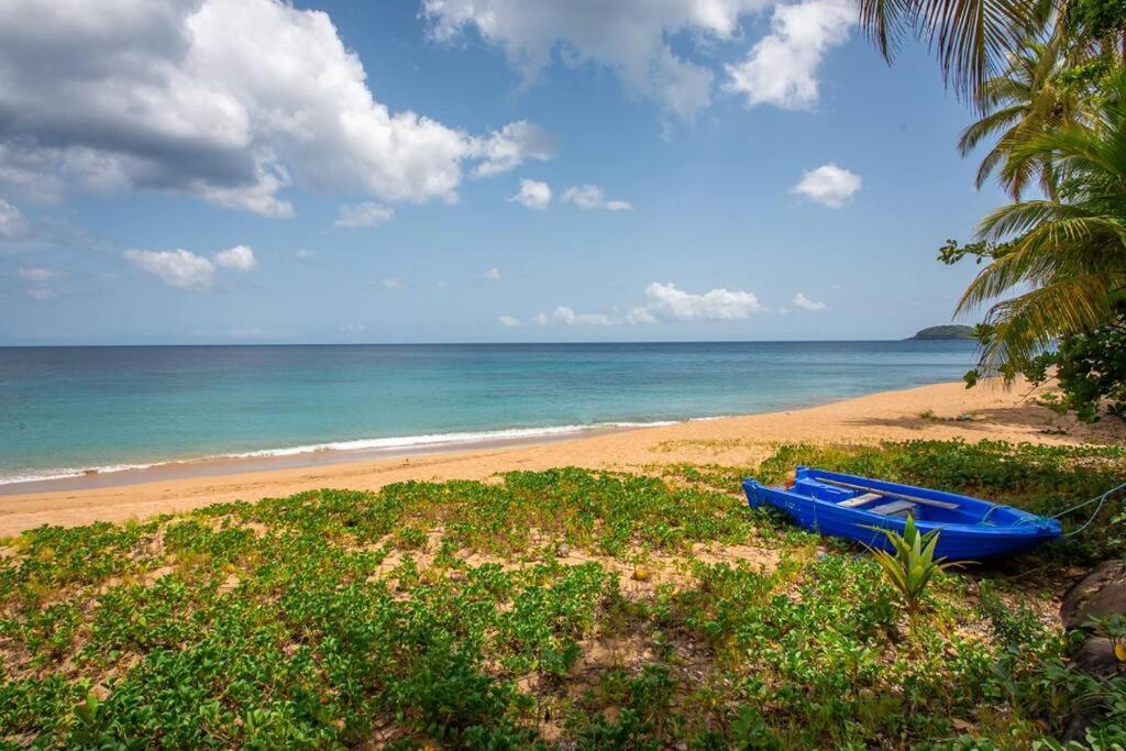 Apartamento Vwe Moun Bay Deshaies Exterior foto