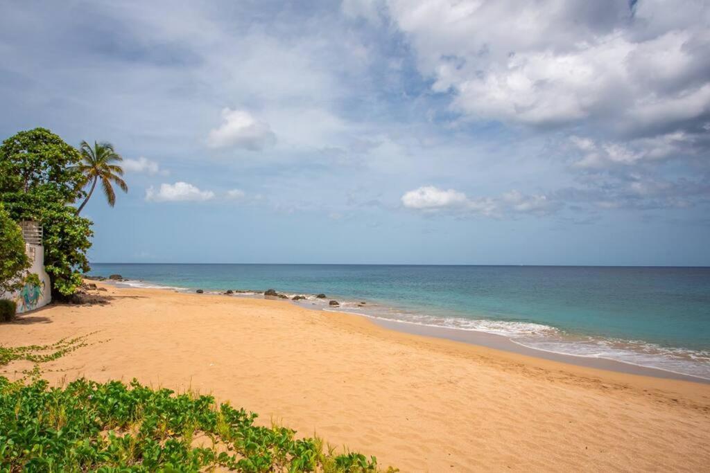 Apartamento Vwe Moun Bay Deshaies Exterior foto